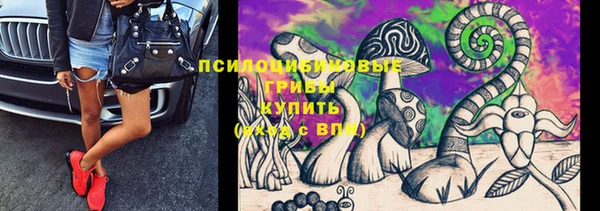 метадон Михайловск