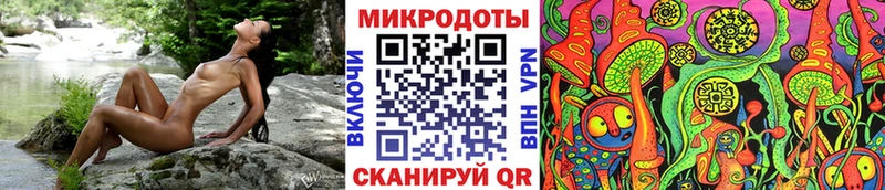 Псилоцибиновые грибы Psilocybe Янаул